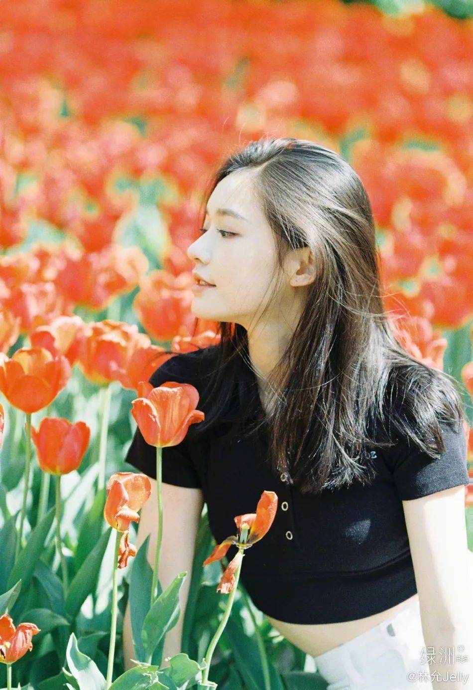 �������Ứ����ͼ�����ޣ������崿��������̫��������